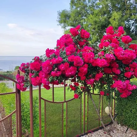 в комплекс зора 9a * Sozopol