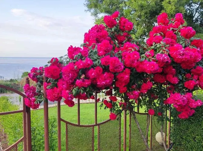 в комплекс зора 9a * Sozopol